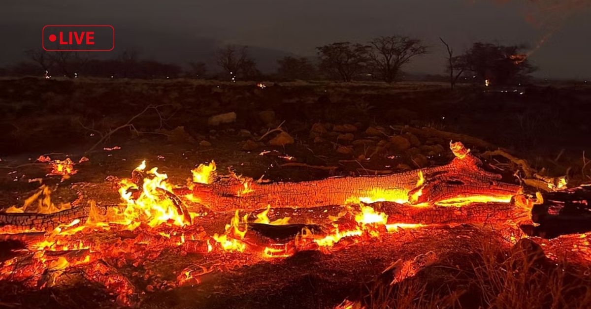You are currently viewing Maui wildfires death toll rises as some residents return to Lahaina