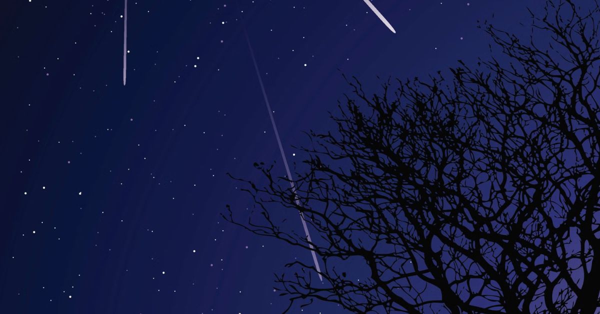 Perseid Meteor Shower 2023