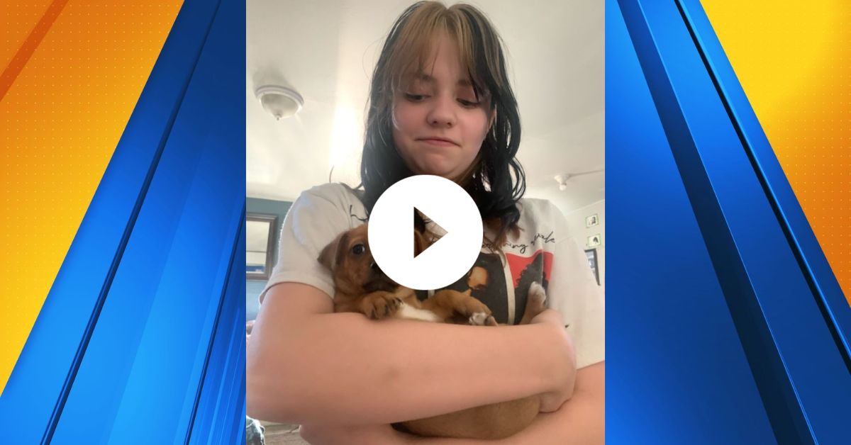 You are currently viewing Police seek help finding missing 12-year-old girl