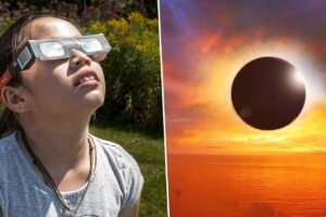 Read more about the article How to See a Solar Eclipse Safely